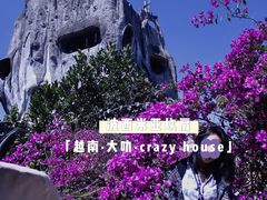-疯狂屋