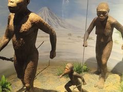 -国家自然博物馆