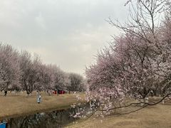 -万通商城