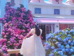 -Blue Concept Cafe&Farm·關於藍