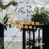 京城夏日游玩探店｜洗眼·纳凉｜藏在文创园里的热带雨林