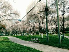 -陕西自然博物馆