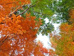 -白鹭湾湿地公园