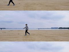 -瑶湖郊野森林公园