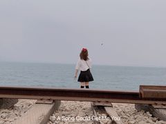 -海堤纪念公园