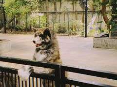 -TrueLove @ Neverland (Husky Cafe)