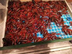 -一方渔歌蒸汽海鲜自助(文化路万达广场店)