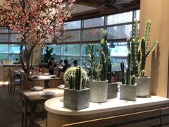 -蜜桃餐厅·伴山(湖滨商业街店)