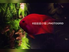 -徽珍源(龙茗路店)