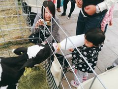 -君乐宝优致牧场