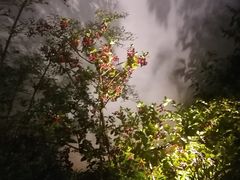 -苏州环秀晓筑养生度假村