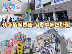 -秋叶原电器街