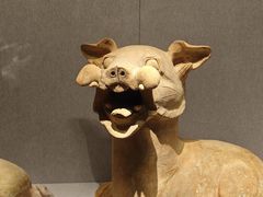 -河南博物院