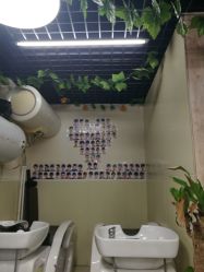 -雅典娜造型