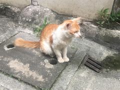-无牌咖啡&酒馆