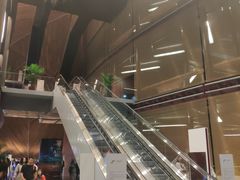 游乐设施-国家大剧院