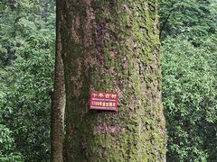 -凤栖山