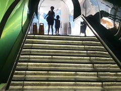 -瑞德姆美人鱼海底演艺主题餐厅(亚龙湾店)