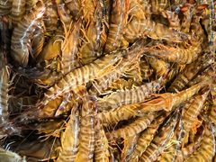 -海峡水产品交易中心(海鲜交易区)