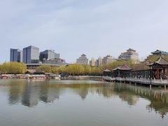 -莲花池公园