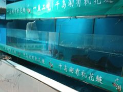 -永安水煮活鱼·仪征土菜院子