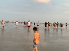 -奉贤海滩