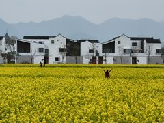 -东梓关景区村庄