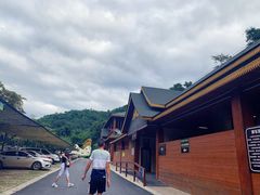 -西双版纳原始森林公园