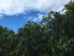 -三亚亚龙湾五号度假别墅酒店