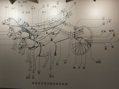 -晋国博物馆