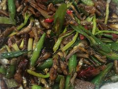 尖椒炒小鱼-徐州府