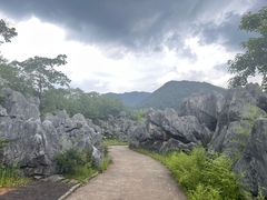 -千岛湖石林