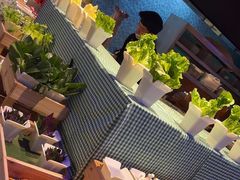 -曼格活海鲜·牛排自助(光明蓝鲸店)