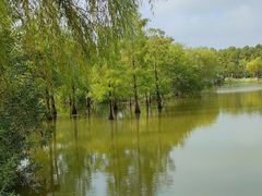 -上海长兴岛郊野公园