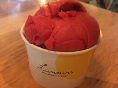 树莓雪葩-LUNEURS月乐诗·法式冰淇淋(环贸店)