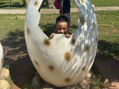 -西部长青自然儿童乐园