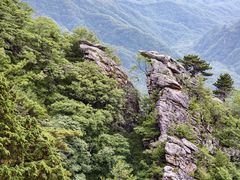 -朱雀国家森林公园