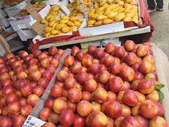 -大连熟食品交易中心