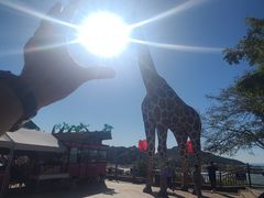 -西霞口神雕山野生动物世界