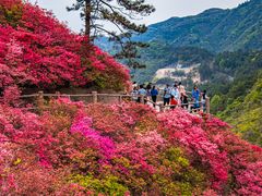 -木兰云雾山