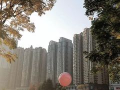 -花果园湿地公园