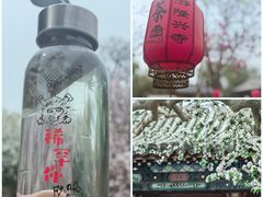 -隆兴寺
