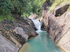 -广州白江湖森林公园