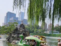 -团结湖公园