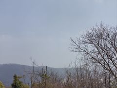 -桃花岭景区