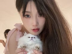 -绿树电竞(五路店)