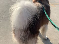 -江杨农产品批发市场