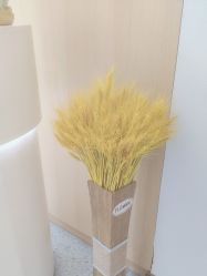 -康美贞·痘肌养护管理中心