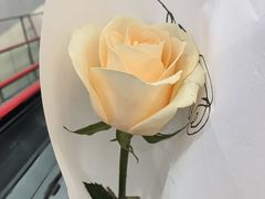 -FEI FEI FLOWER鲜花店·气球派对·宝宝宴布置(虹口德必运动Loft店)