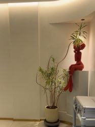 -WENDY·温迪皮肤管理